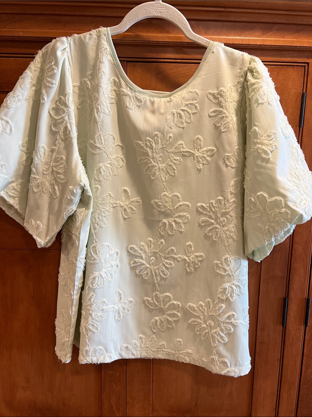 Mint Green Embroidered Puff-Sleeve Blouse